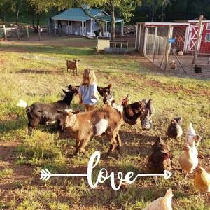 Meet your Posher, Cheryl